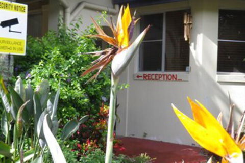 Ocean Shores Motel - Accommodation Asia 2