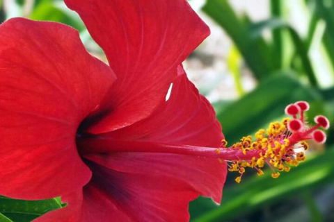 Driftwood Motel & Holiday Units - Accommodation Asia 6