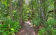 Montville Grove - thumb 0