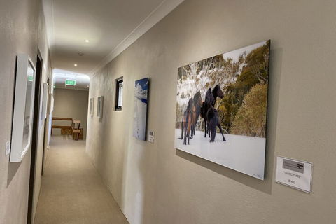 Jindy Inn - Accommodation Asia 1