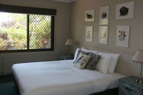 Jindy Inn - Accommodation Asia 4