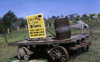 Bega Village Motor Inn - Accommodation Guide 0