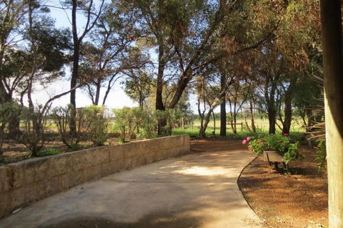 Bentwood Olive Grove Accommodation - Accommodation Guide 3