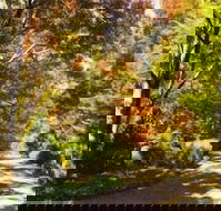 Chalets Lumineux - Accommodation Asia