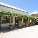 Daisy Cottage - Accommodation Guide 1