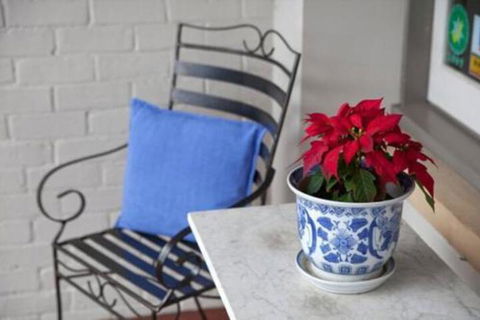 Bellerive House - Accommodation Guide 2