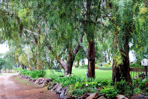 Outback Cellar & Country Cottage - Accommodation Asia 2