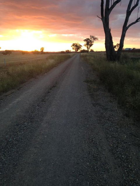 Outback Cellar & Country Cottage - Accommodation Asia 5