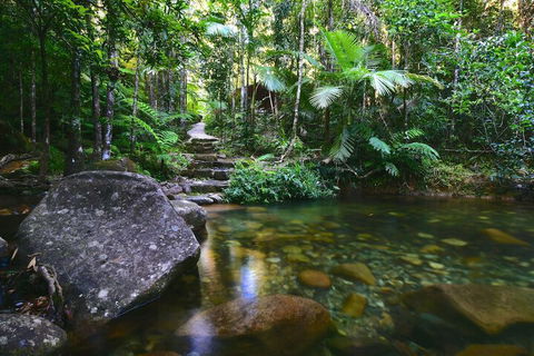 Daintree Cascades - Accommodation Guide 2