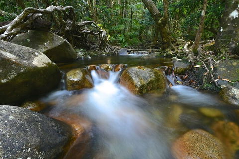 Daintree Cascades - Accommodation Guide 1