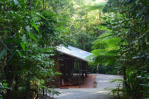 Daintree Cascades - Accommodation Guide 3