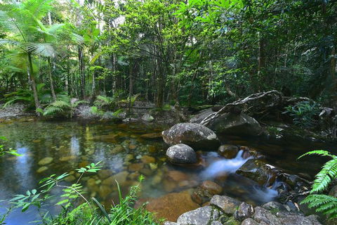 Daintree Cascades - Accommodation Guide 5