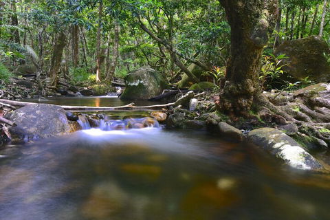Daintree Cascades - Accommodation Guide 6
