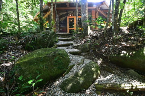 Daintree Cascades - Accommodation Guide 7