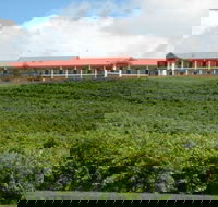 Turners Vineyard Motel and Function Centre - Accommodation Asia
