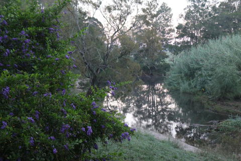 Serendipity On Allyn - Accommodation Guide 7