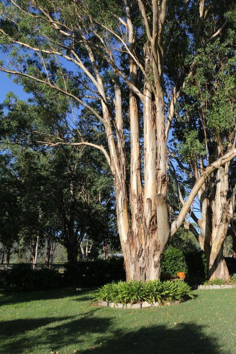 Serendipity On Allyn - Accommodation Guide 5