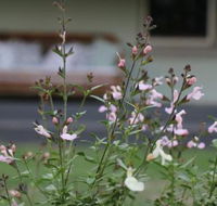 Serendipity on Allyn - Accommodation Asia