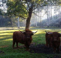Dingley Dell - Accommodation Asia