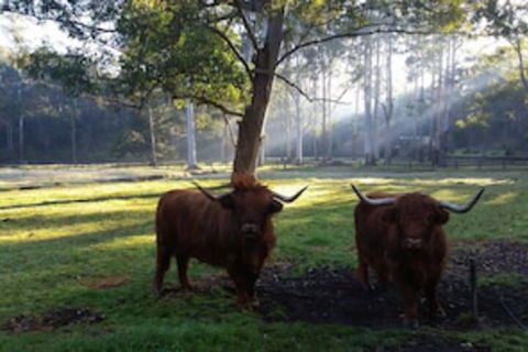 Dingley Dell - Accommodation Asia 0