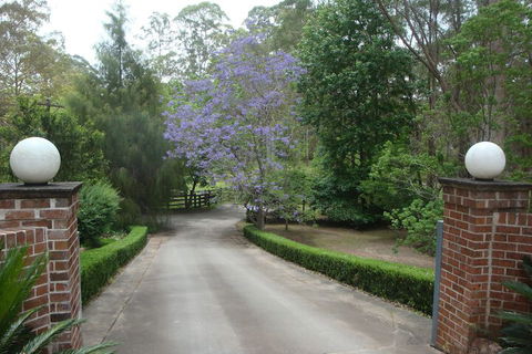 Dingley Dell - Accommodation Asia 1