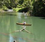 Figtree Getaway - Accommodation Guide