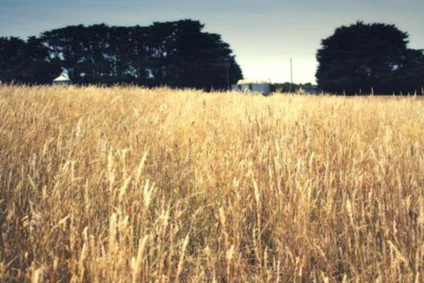 Galwiji Homestead - Accommodation Guide 6