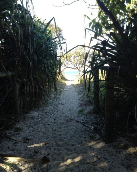 On The Beach At Hastings Point - Accommodation Guide 1