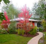 Dalrymples Guest Cottages - Accommodation Asia