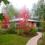Dalrymples Guest Cottages - Accommodation Asia 0