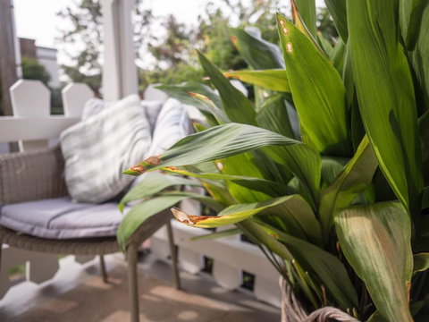 Cottage 79 - Accommodation Guide 5