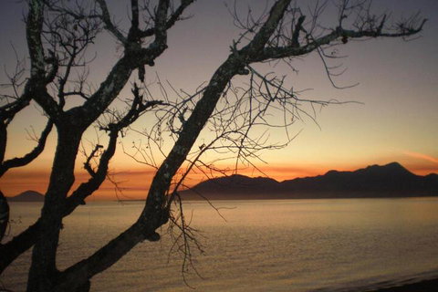 Daintree Village Hideaway - Accommodation Asia 3