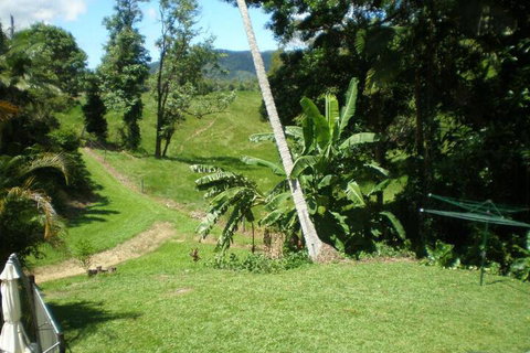 Daintree Village Hideaway - Accommodation Asia 5