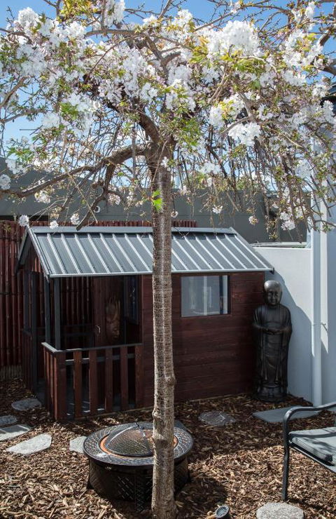 Bakers Retreat - Accommodation Asia 3