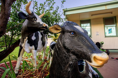 Big4 Shepparton Park Lane - Accommodation Asia 0