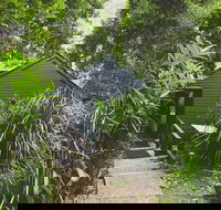 Montagues of Montville - Accommodation Asia