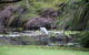 Salamander Bay Bed & Breakfast - thumb 5