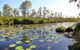 Salamander Bay Bed & Breakfast - thumb 4