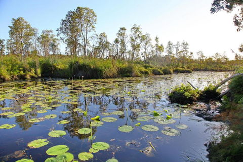 Salamander Bay Bed & Breakfast - Accommodation Asia 4