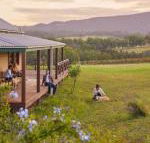 Hanging Tree Wines - Accommodation Asia