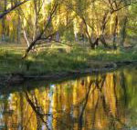 On The Banks - Accommodation Asia