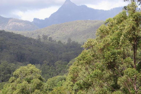 Babbling Brook Retreat - Accommodation Guide 7