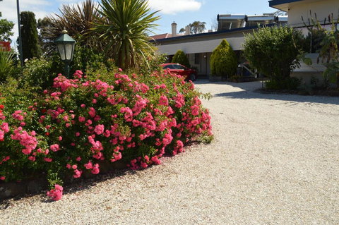 Wattle Grove Motel Maryborough - Accommodation Asia 4