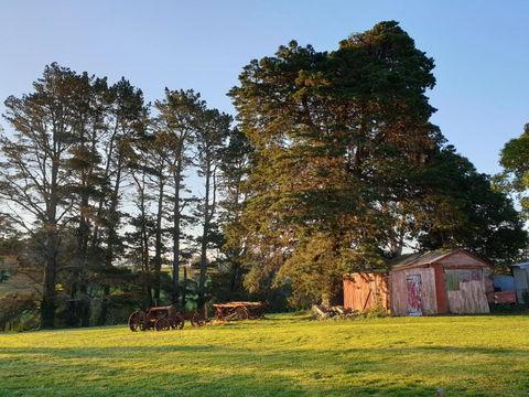 Sutton Forest Cottage - Accommodation Guide 5
