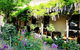 CocknBull Boutique Hotel - thumb 2