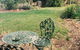 Catania Cottage & Farmhouse - thumb 3
