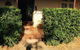 Catania Cottage & Farmhouse - thumb 6