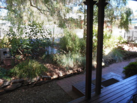 Rosebank Bed & Breakfast - Accommodation Asia 6