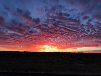 Barossa House - Accommodation Asia 4
