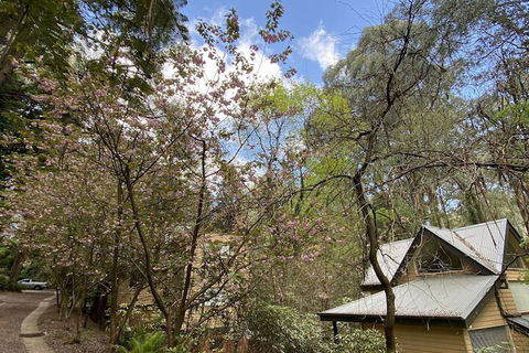 Lochiel Luxury Accommodation - Accommodation Asia 4